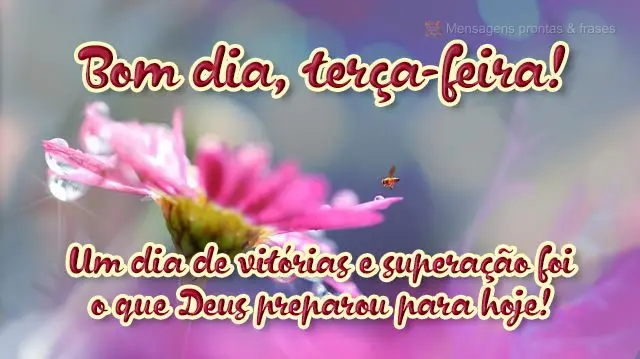  Um dia de vitórias e superação foi o que Deus preparou para hoje! 
 Bom dia, terça-feira!