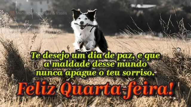 Te desejo um dia de paz, e que a maldade desse mundo nunca apague o teu sorriso.  Feliz Quarta-feira!