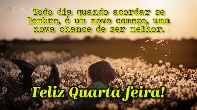 Todo dia quando acordar se lembre, é um novo começo, uma nova chance de ser melhor.  Feliz Quarta-feira!