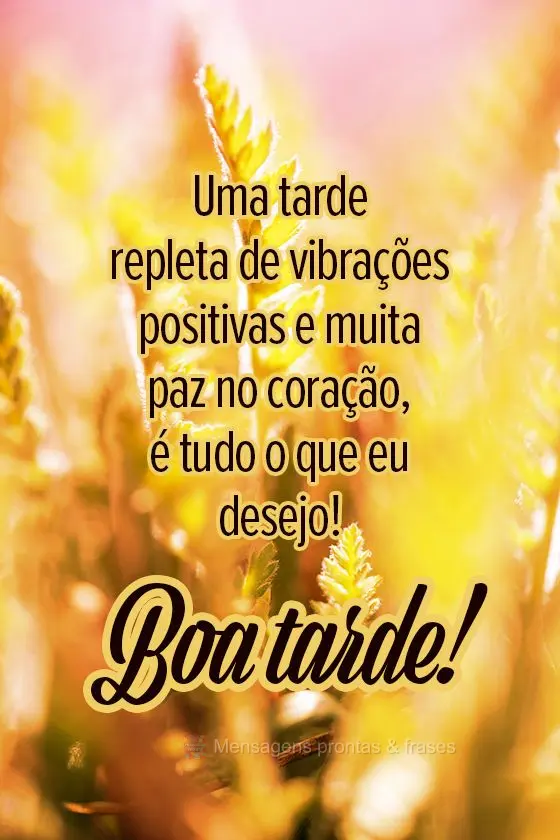 Uma tarde repleta de vibrações positivas e muita paz no coração, é tudo o que eu desejo! 
 Boa tarde. 