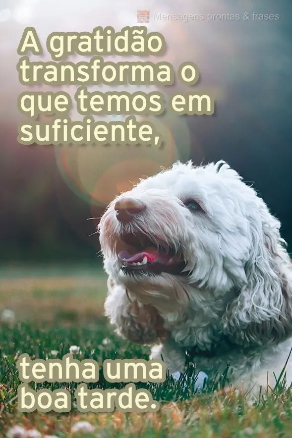 A gratidão transforma o que temos em suficiente. Tenha uma boa tarde. 
