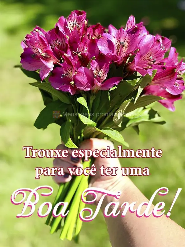 Trouxe especialmente para você ter uma Boa tarde!