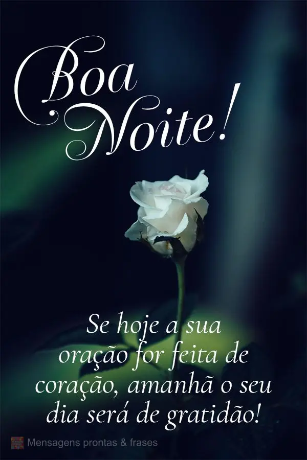 Se hoje a sua oração for feita de coração, amanhã o seu dia será de gratidão! Boa noite! 