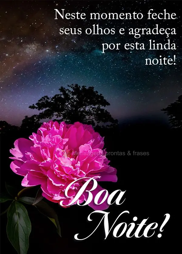 Neste momento feche seus olhos e agradeça por esta linda noite! Boa noite! 