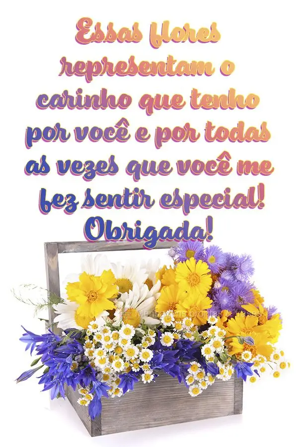 Essas flores representam o carinho que tenho por você e por todas as vezes que você me fez sentir especial! Obrigada!