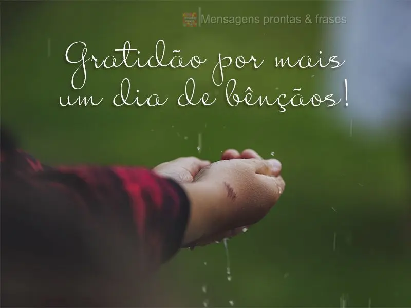 Gratidão por mais um dia de bênçãos!