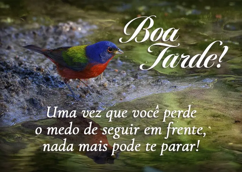 Uma vez que você perde o medo de seguir em frente, nada mais pode te parar! Boa tarde! 