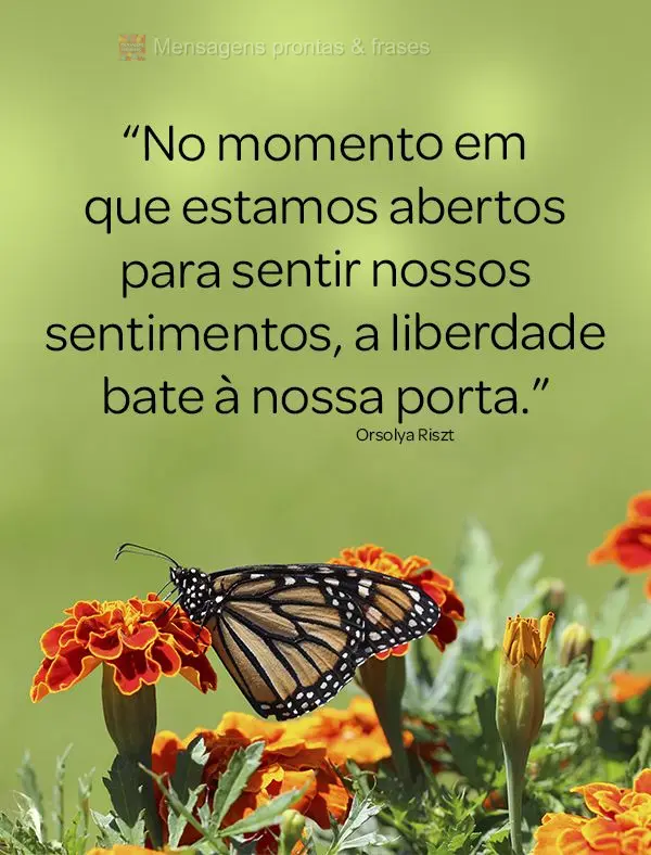 “No momento em que estamos abertos para sentir nossos sentimentos, a liberdade bate à nossa porta."  Orsolya Riszt