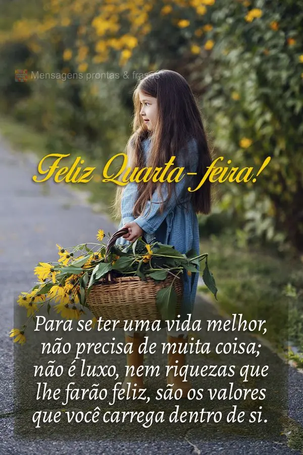 Para se ter uma vida melhor, não precisa de muita coisa; não é luxo, nem riquezas que lhe farão feliz, são os valores que você carrega dentro de si...