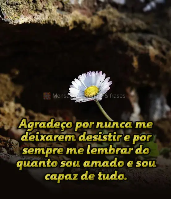 Agradeço por nunca me deixarem desistir e por sempre me lembrar do quanto sou amado e sou capaz de tudo.
