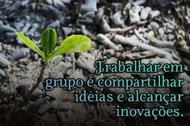 Trabalhar em grupo é compartilhar ideias e alcançar inovações.
