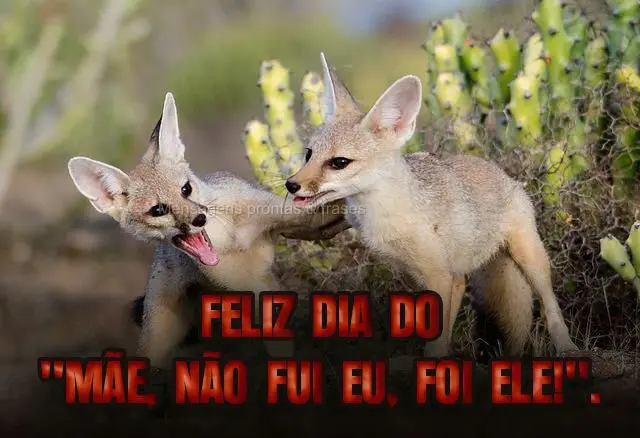 Feliz dia do "mãe, não fui eu, foi ele!".
