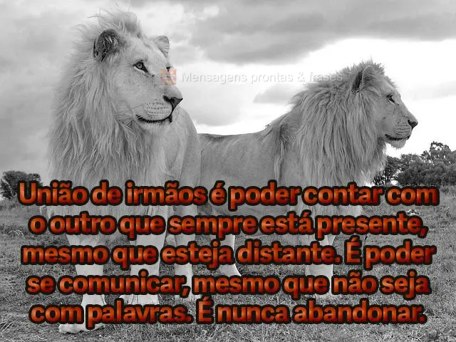 União de irmãos é poder contar com o outro que sempre está presente, mesmo que esteja distante. É poder se comunicar, mesmo que não seja com palavr...