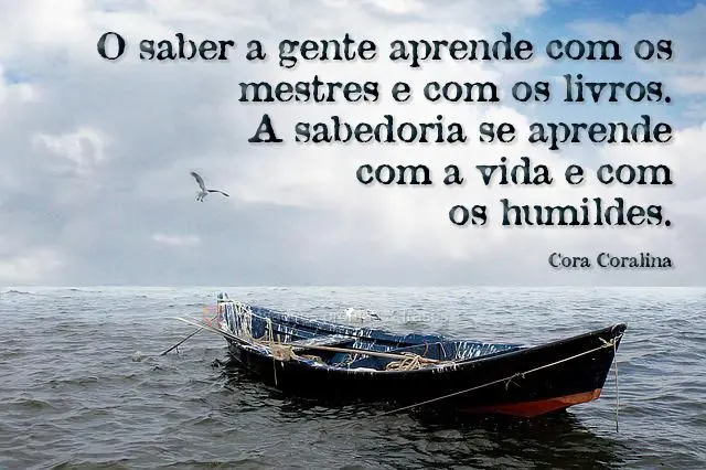 O saber a gente aprende com os mestres e com os livros. A sabedoria se aprende com a vida e com os humildes. 
 Cora Coralina