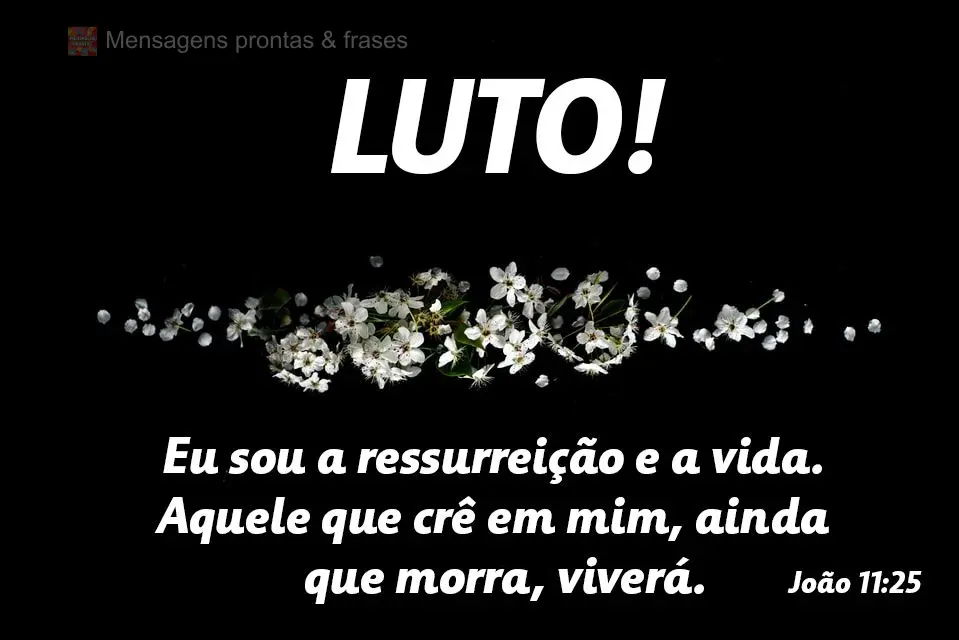 Eu sou a ressurreição e a vida. Aquele que crê em mim, ainda que morra, viverá. 
 LUTO! João 11,25