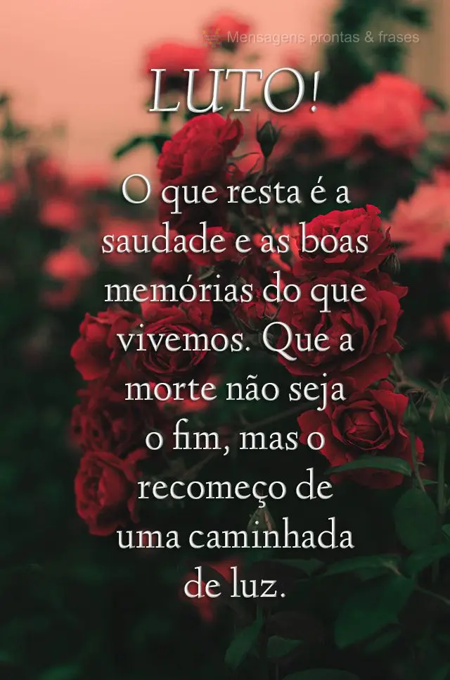 O que resta é a saudade e as boas memórias do que vivemos. Que a morte não seja o fim, mas o recomeço de uma caminhada de luz.
 Luto!