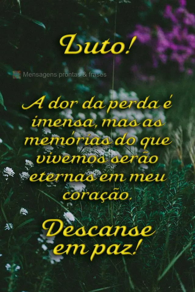  A dor da perda é imensa, mas as memórias do que vivemos serão eternas em meu coração. Descanse em paz!
 Luto!