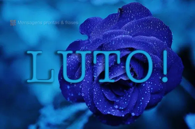 LUTO!