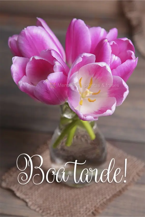 Boa tarde!