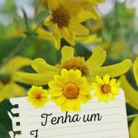 Tenha um Feliz final de semana!