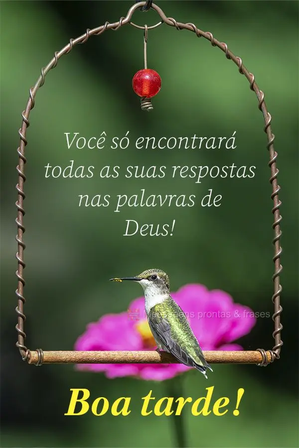 Você só encontrará todas as suas respostas nas palavras de Deus!  Boa tarde!