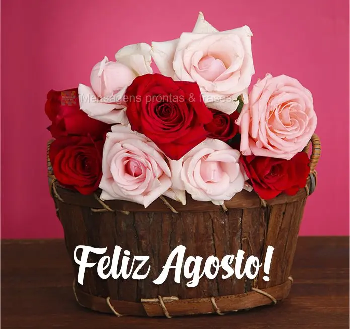 Feliz Agosto!