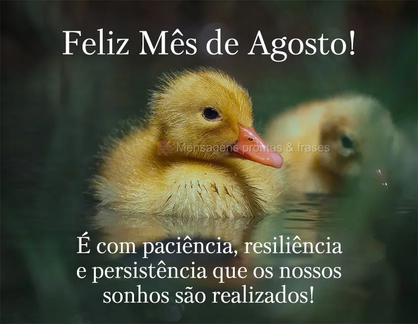 É com paciência, resiliência e persistência que os nossos sonhos são realizados! Feliz Mês de Agosto!