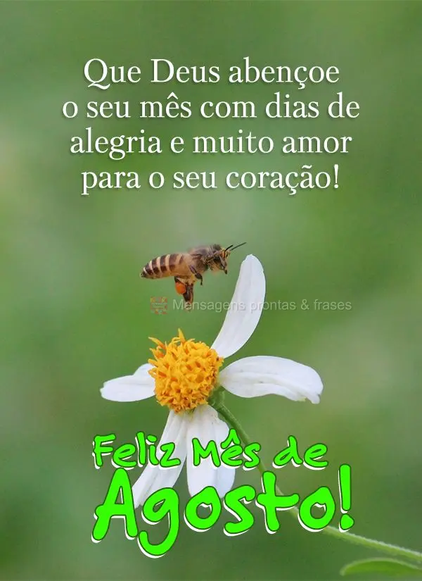 Que Deus abençoe o seu mês com dias de alegria e muito amor para o seu coração! Feliz Mês de Agosto!