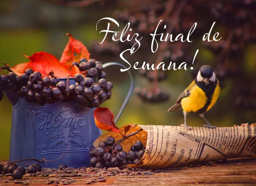 Feliz final de semana!