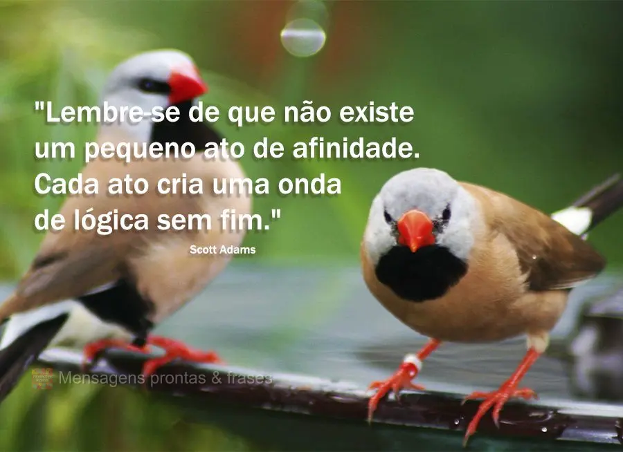 "Lembre-se de que não existe um pequeno ato de afinidade. Cada ato cria uma onda de lógica sem fim." Scott Adams