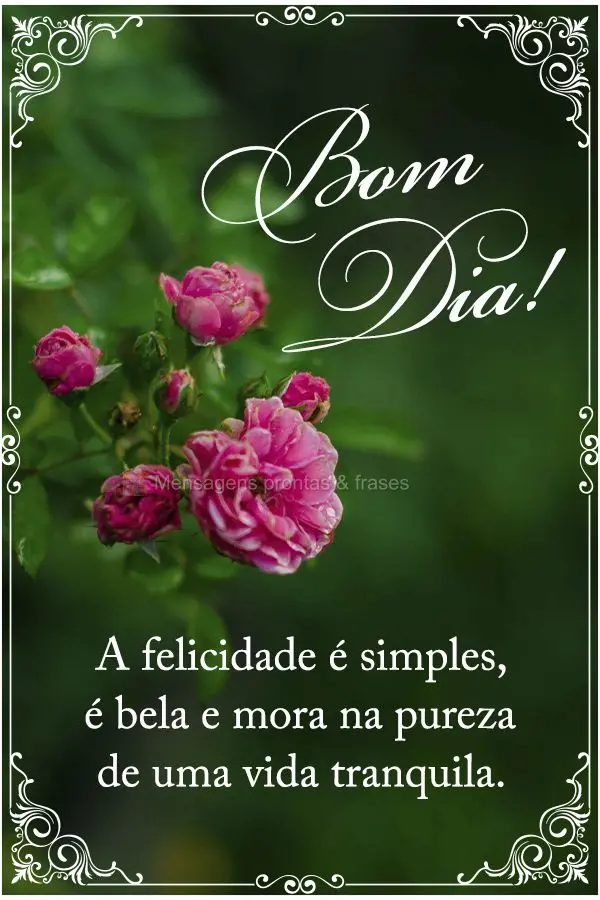 A felicidade é simples, é bela e mora na pureza de uma vida tranquila. Bom dia! 