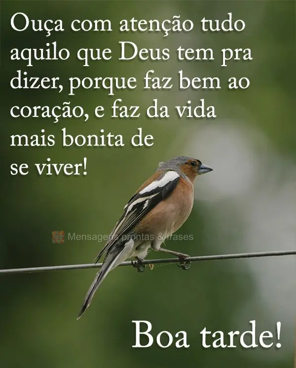 Ouça com atenção tudo aquilo que Deus tem pra dizer, porque faz bem ao coração, e faz da vida mais bonita de se viver! Boa tarde!