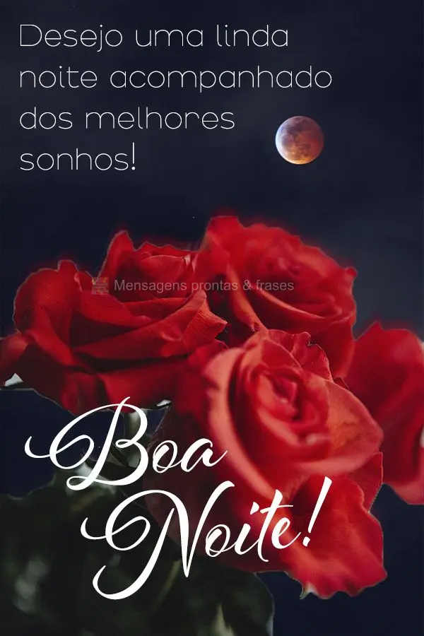 Desejo uma linda noite acompanhado dos melhores sonhos! Boa noite! 