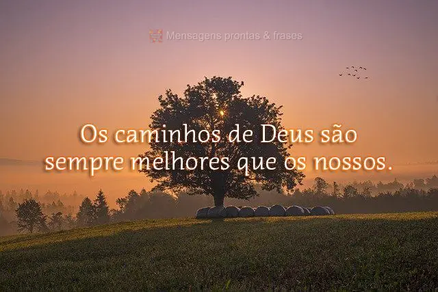 Os caminhos de Deus são sempre melhores que os nossos.
