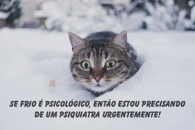 Se frio é psicológico, então estou precisando de um psiquiatra urgentemente!
