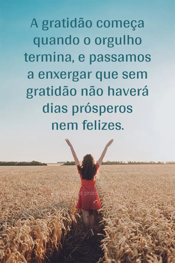 A gratidão começa quando o orgulho termina e passamos a enxergar que sem gratidão não haverá dias prósperos nem felizes.