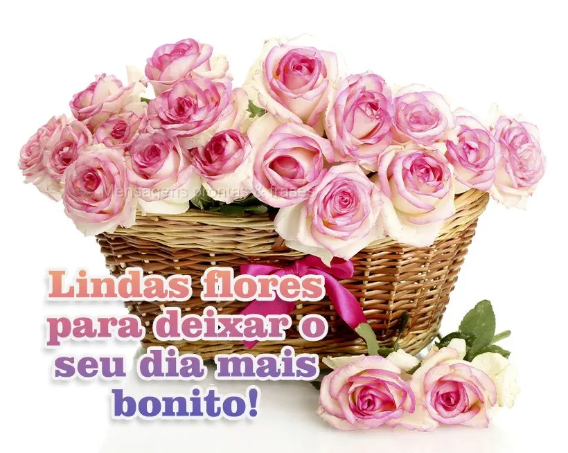 Lindas flores para deixar o seu dia mais bonito!