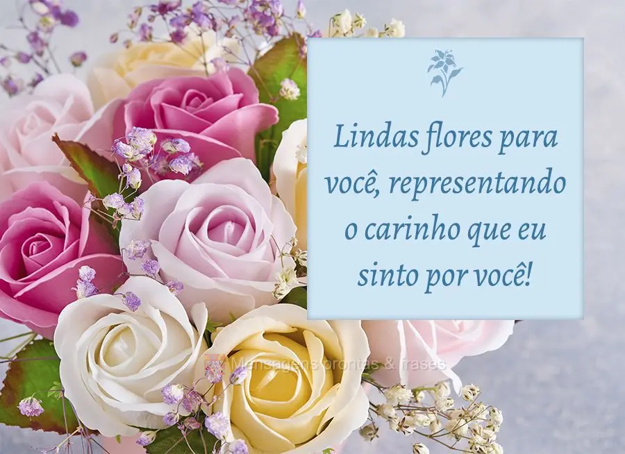 Lindas flores para você, representando o carinho que eu sinto por você!