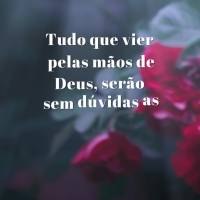 Tudo que vier pelas mãos de Deus serão sem dúvidas as bênçãos mais lindas que você receberá! Se sinta abençoado! Boa noite! 