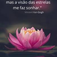 “De minha parte, nada sei com certeza, mas a visão das estrelas me faz sonhar.” Boa noite! Vincent Van Gogh