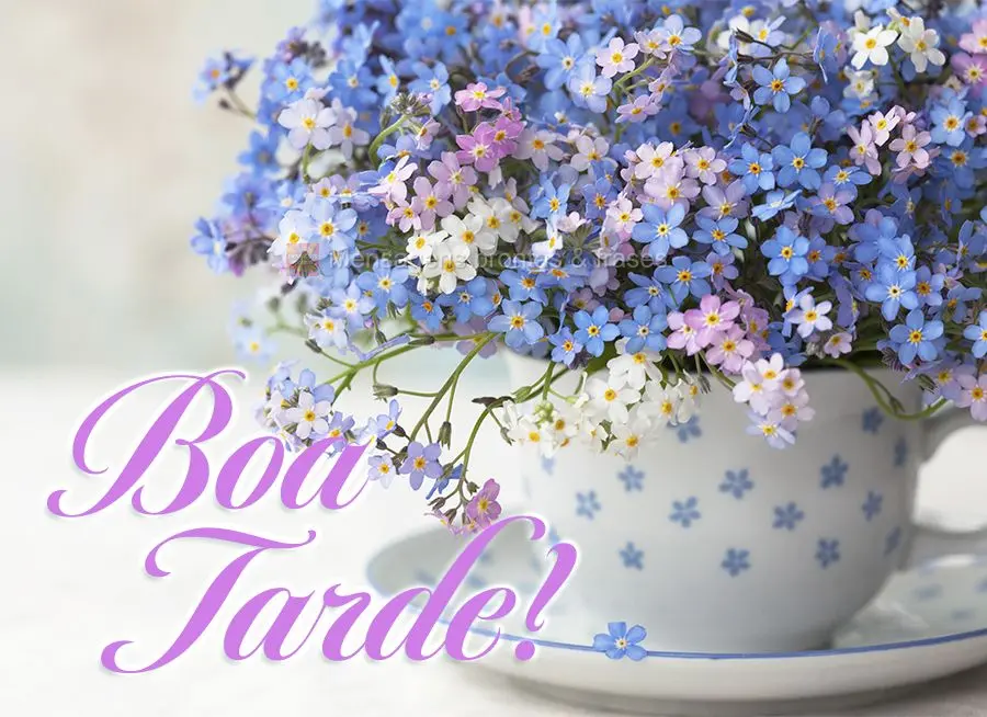 Boa tarde!