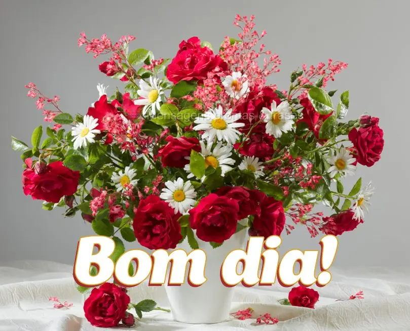 Bom dia!