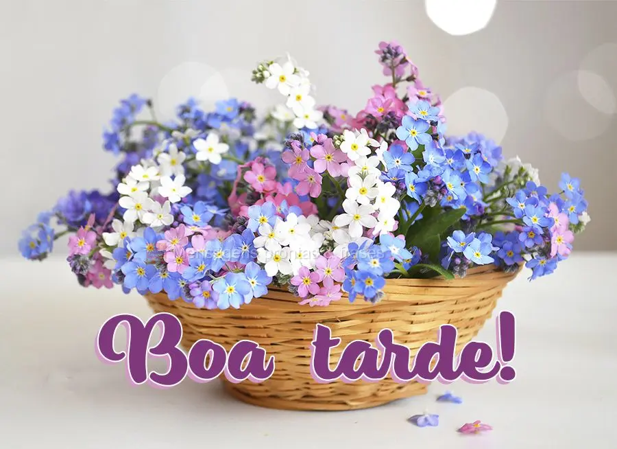 Boa tarde!