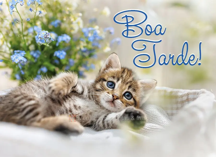 Boa tarde!