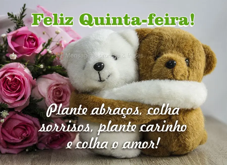 Plante abraços, colha sorrisos, plante carinho e colha o amor! Feliz Quinta-feira!