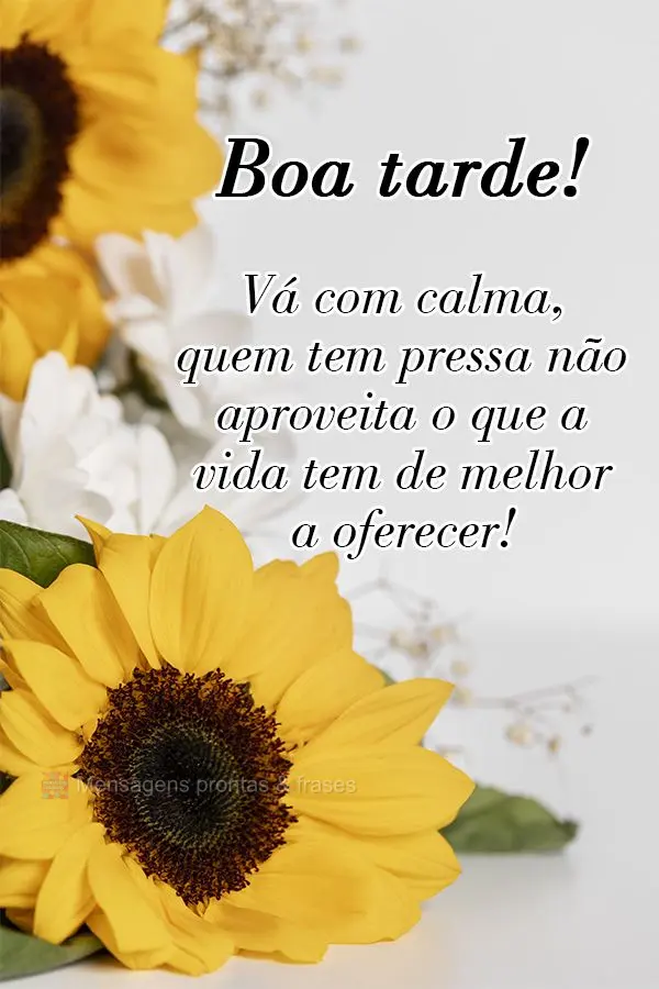 Vá com calma, quem tem pressa não aproveita o que a vida tem de melhor a oferecer! Boa tarde! 