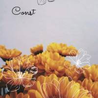 Construa uma ponte de gratidão para se alcançar novas bênçãos!