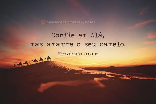 Confie em Alá, mas amarre o seu camelo.  Provérbio árabe