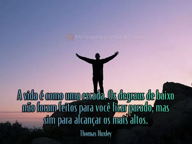 A vida é como uma escada. Os degraus debaixo não foram feitos para você ficar parado, mas sim para alcançar os mais altos.  Thomas Huxley