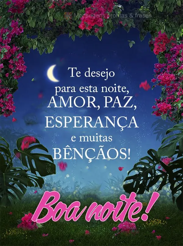 Te desejo para esta noite amor, paz, esperança e muitas bênçãos! Boa noite!